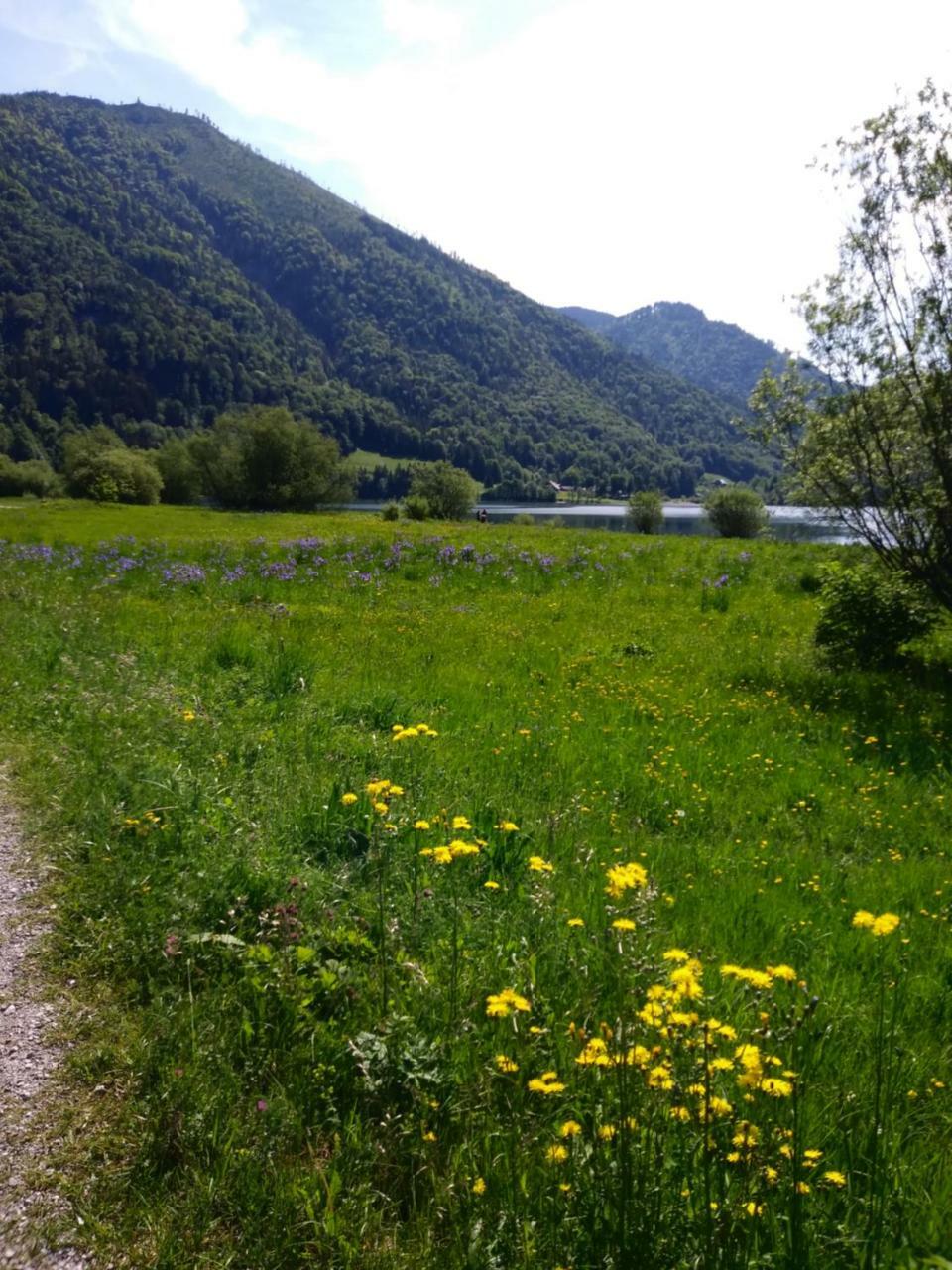 Privatzimmer Eva Leitgeb Bed and Breakfast Faistenau Εξωτερικό φωτογραφία