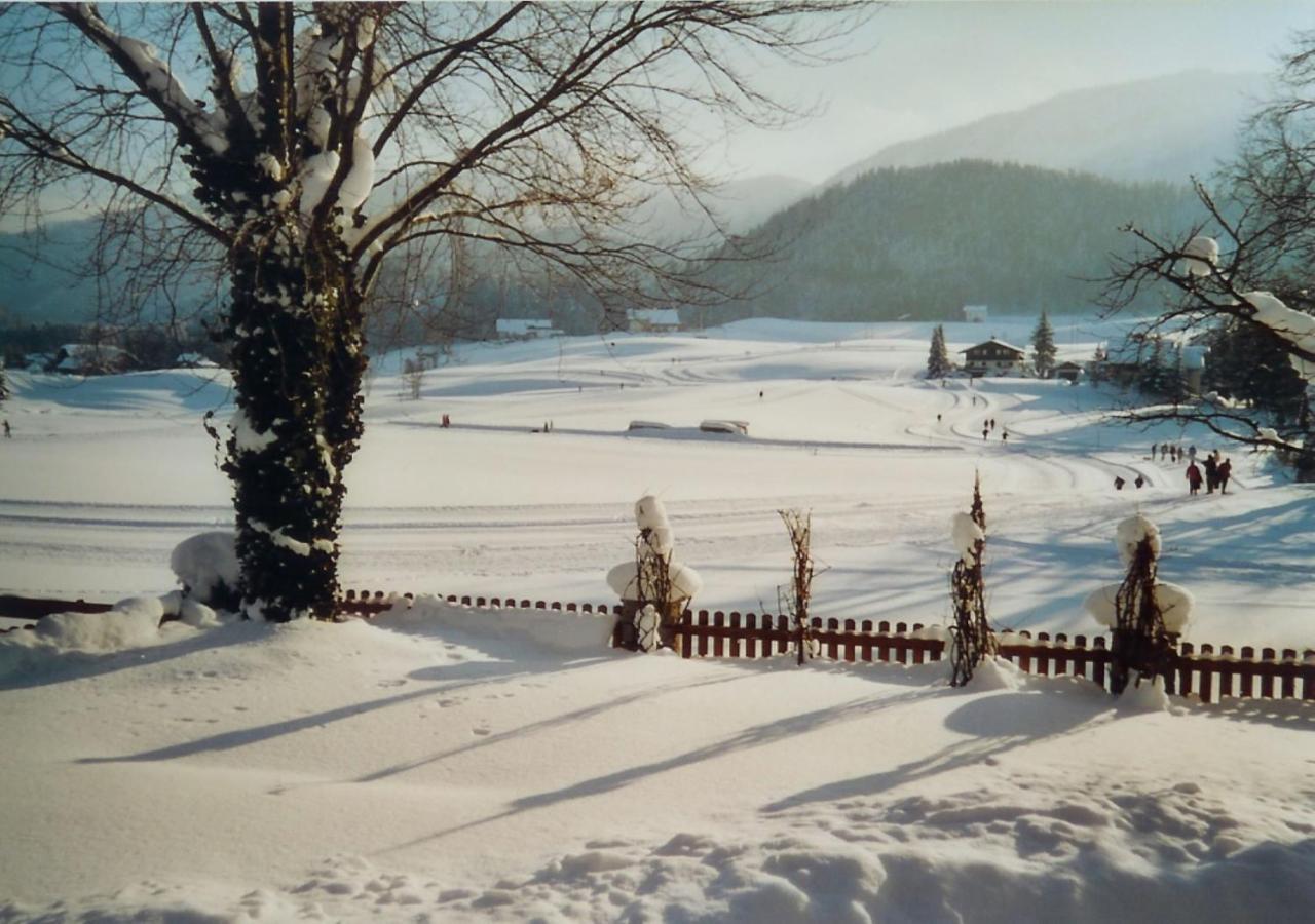 Privatzimmer Eva Leitgeb Bed and Breakfast Faistenau Εξωτερικό φωτογραφία